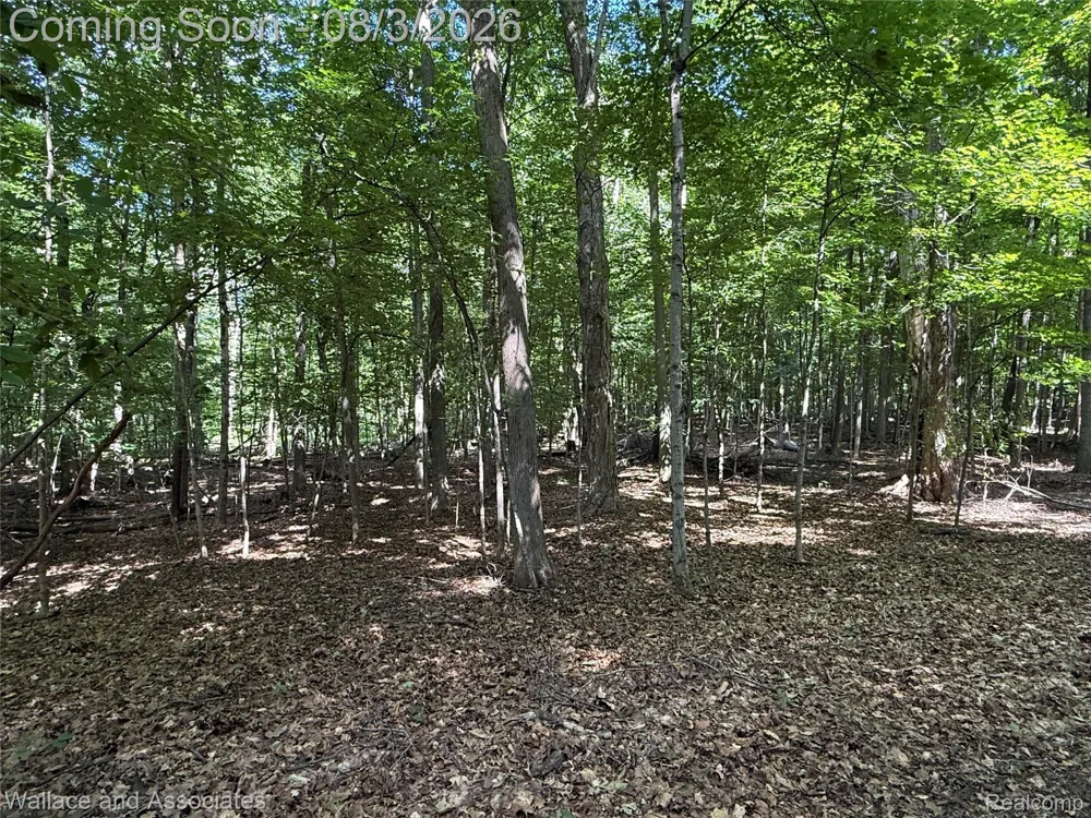 240 Townhall Road Speaker Township, MI 48454