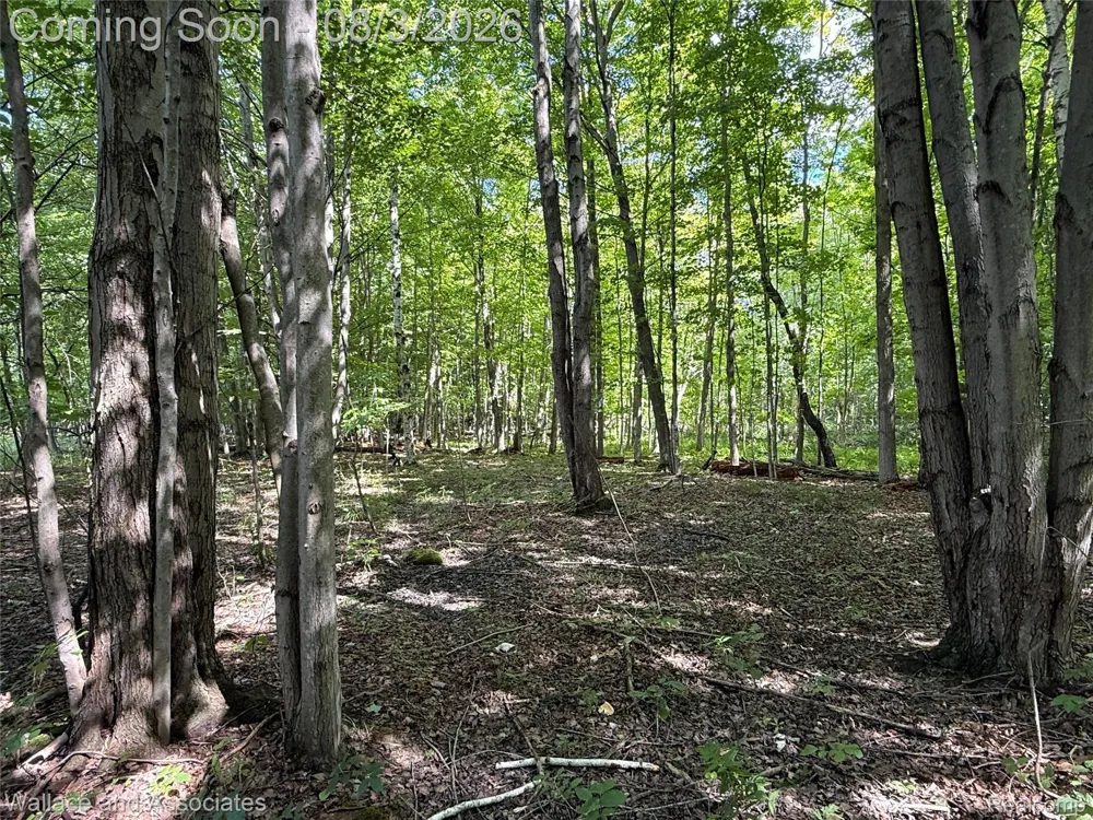 240 Townhall Road Speaker Township, MI 48454
