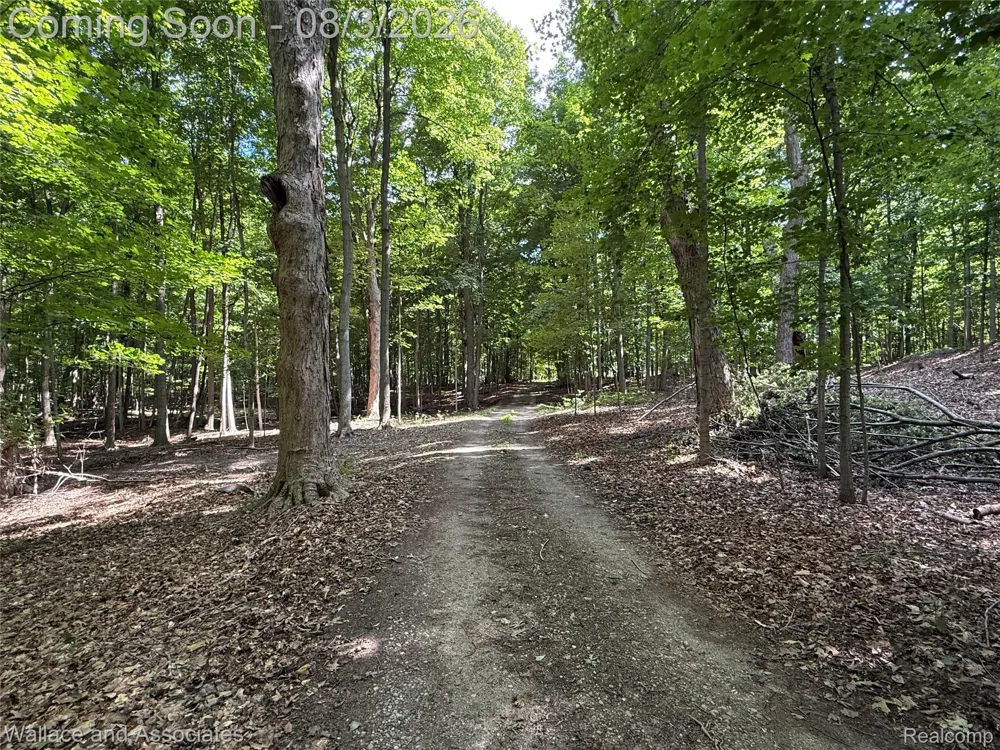 240 Townhall Road Speaker Township, MI 48454