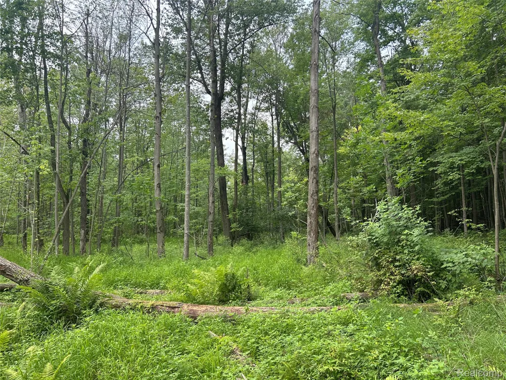 4502 Cemetery Road Koylton Township, MI 48741