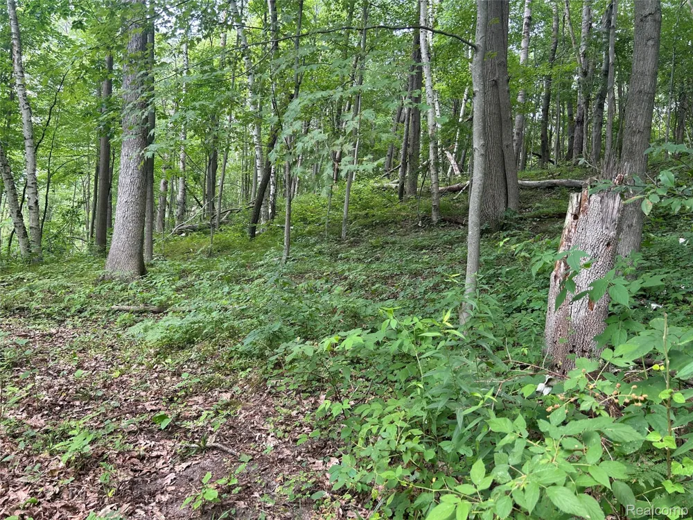 4502 Cemetery Road Koylton Township, MI 48741