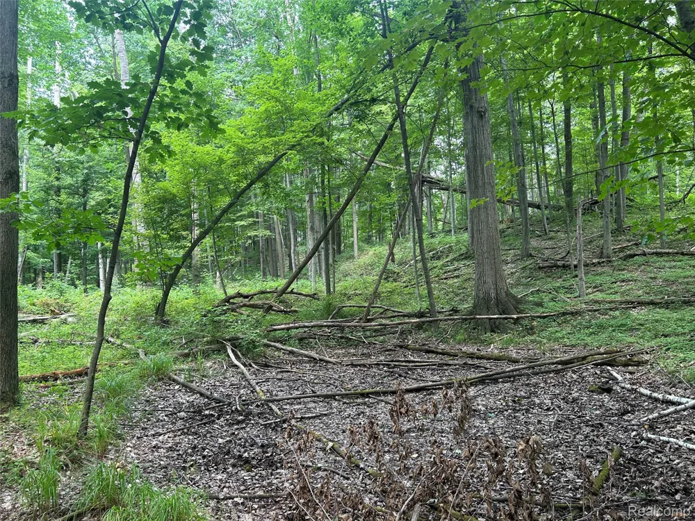 4502 Cemetery Road Koylton Township, MI 48741