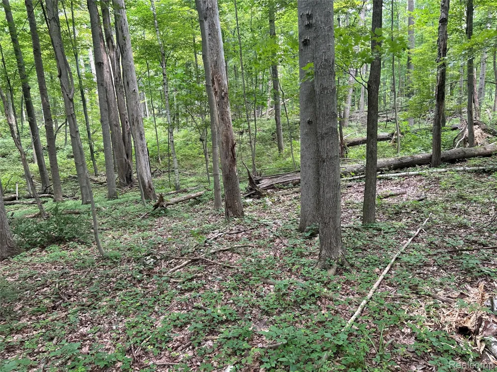4502 Cemetery Road Koylton Township, MI 48741