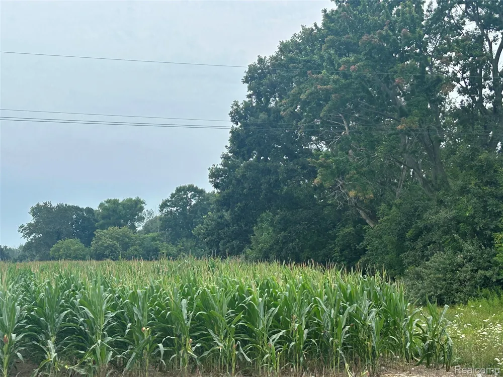 4502 Cemetery Road Koylton Township, MI 48741