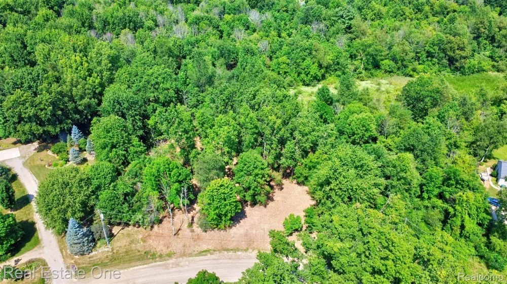 Bridges Cove Hadley Township, MI 48455
