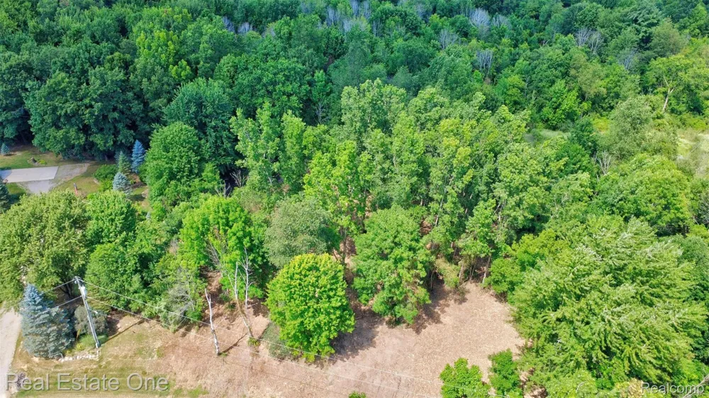 Bridges Cove Hadley Township, MI 48455