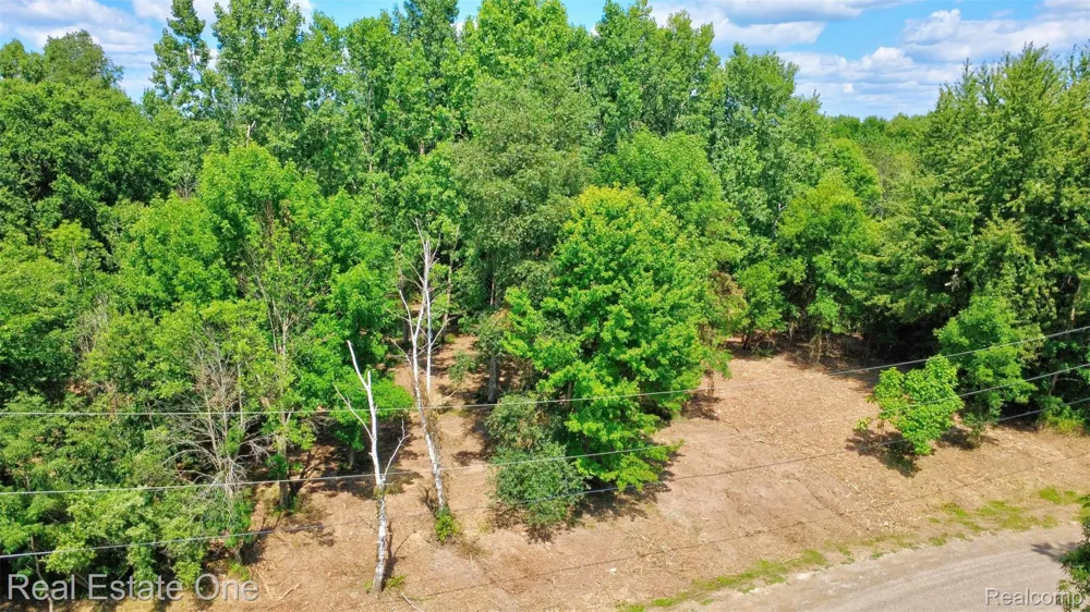 Bridges Cove Hadley Township, MI 48455