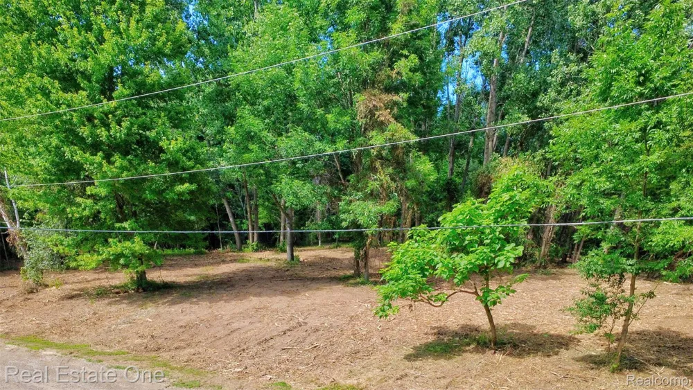 Bridges Cove Hadley Township, MI 48455