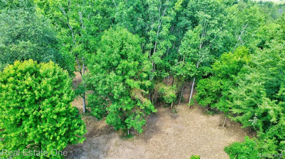 Bridges Cove Hadley Township, MI 48455