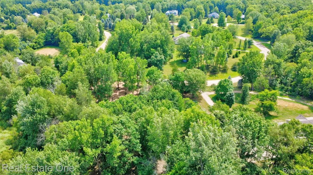 Bridges Cove Hadley Township, MI 48455