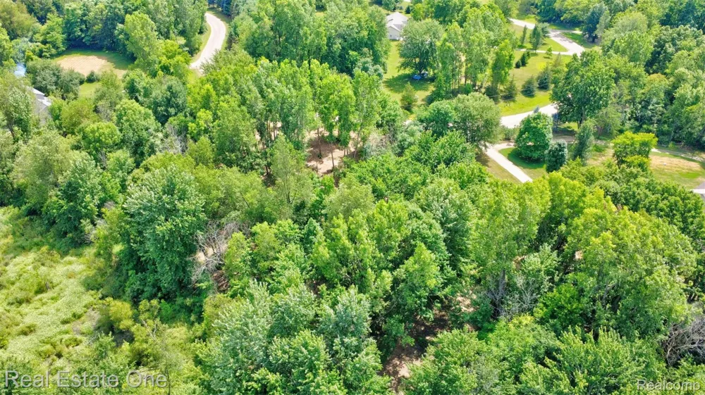 Bridges Cove Hadley Township, MI 48455