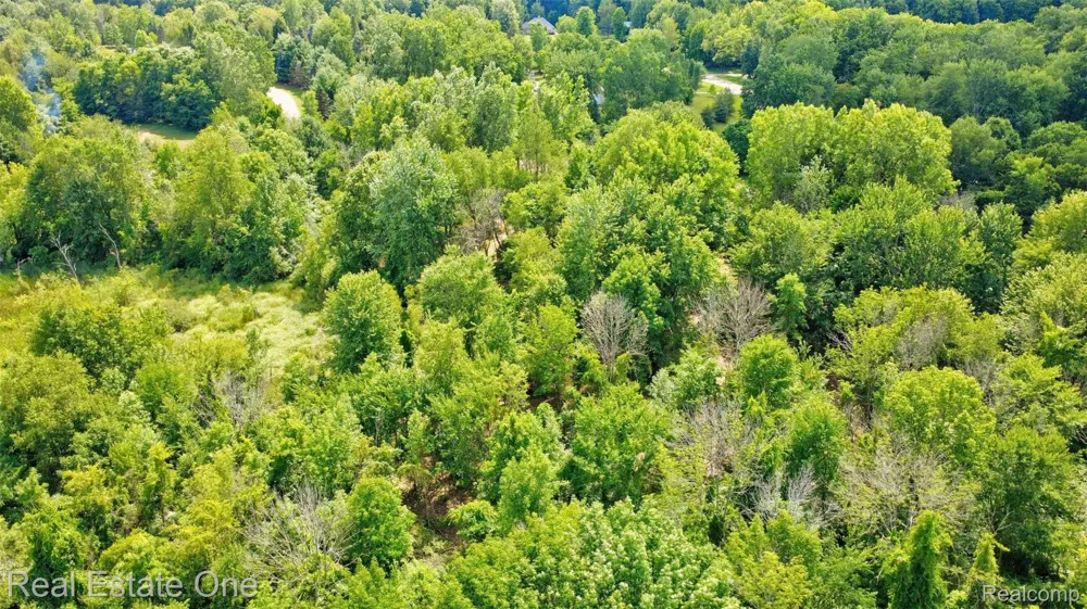 Bridges Cove Hadley Township, MI 48455