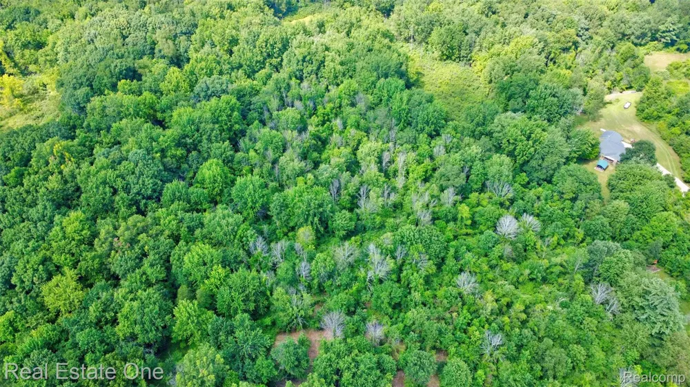 Bridges Cove Hadley Township, MI 48455