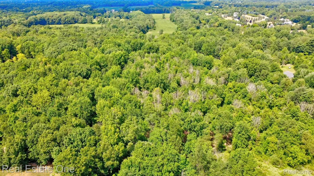 Bridges Cove Hadley Township, MI 48455