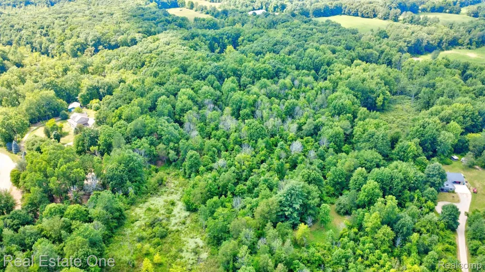 Bridges Cove Hadley Township, MI 48455