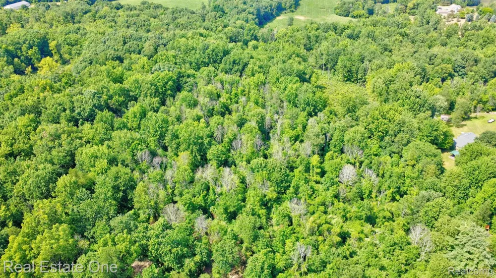 Bridges Cove Hadley Township, MI 48455