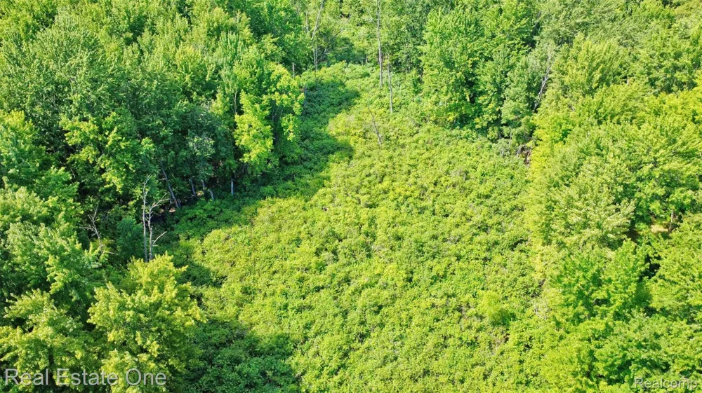 Bridges Cove Hadley Township, MI 48455