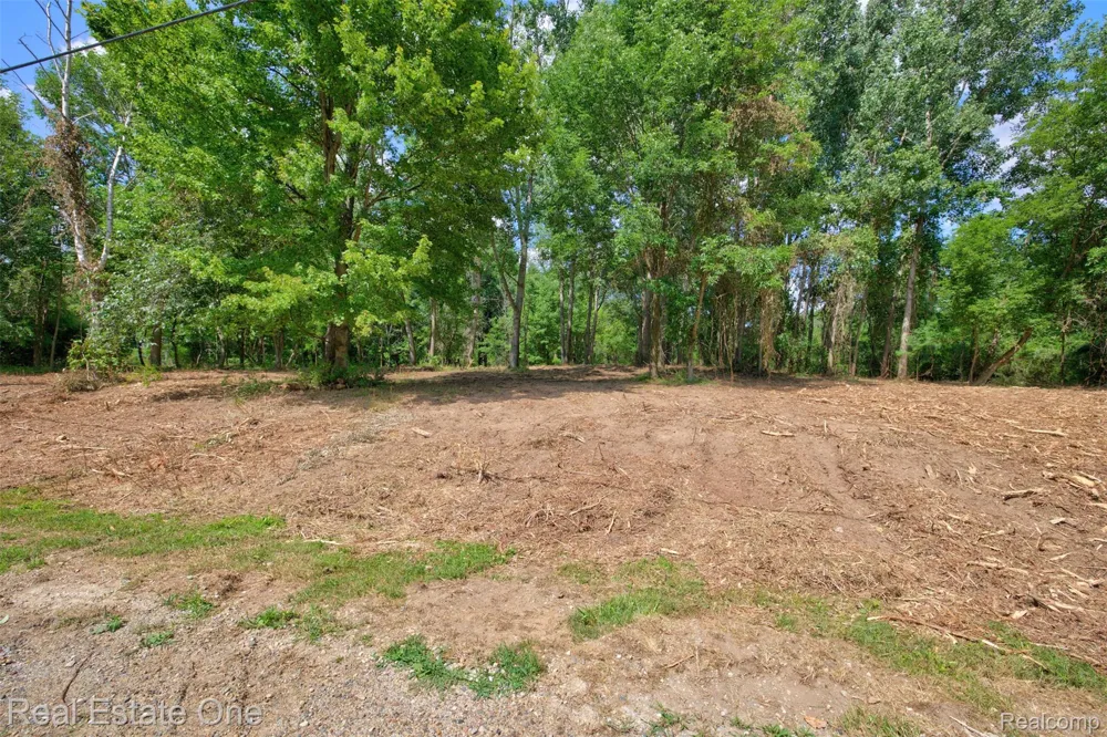 Bridges Cove Hadley Township, MI 48455