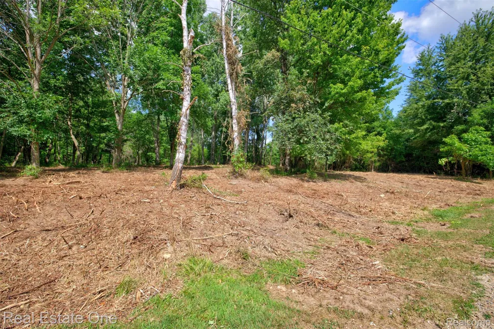 Bridges Cove Hadley Township, MI 48455