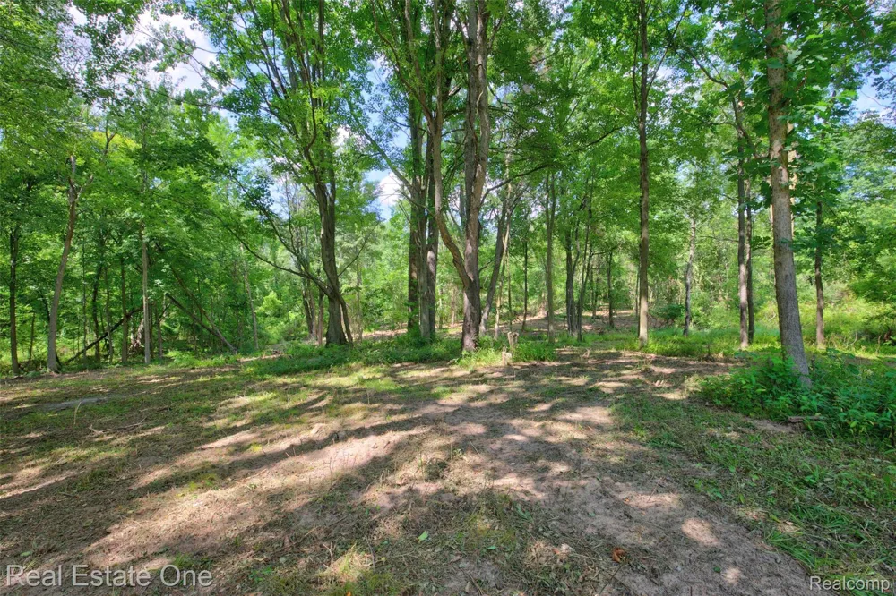 Bridges Cove Hadley Township, MI 48455