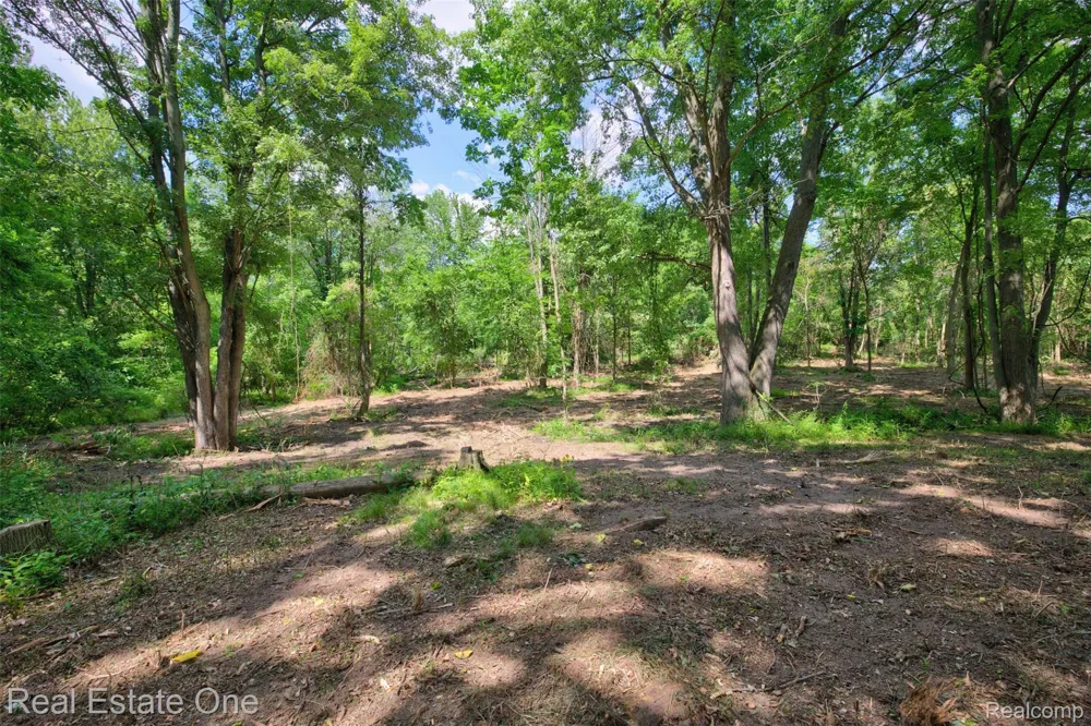 Bridges Cove Hadley Township, MI 48455