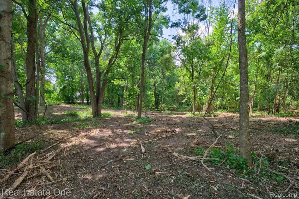 Bridges Cove Hadley Township, MI 48455