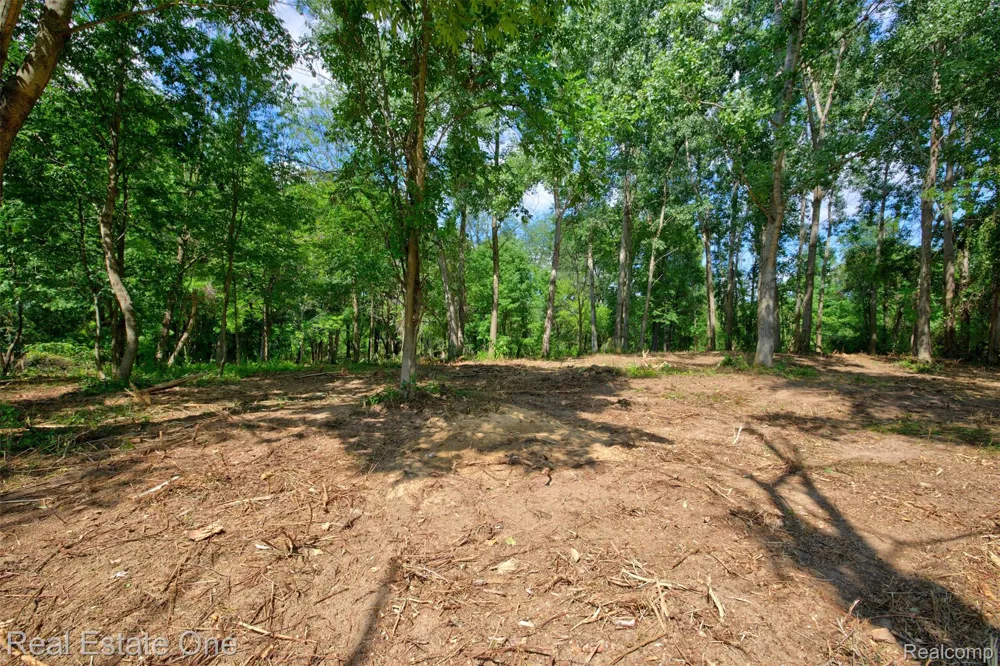 Bridges Cove Hadley Township, MI 48455