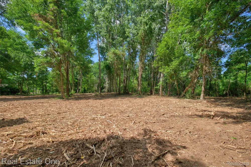 Bridges Cove Hadley Township, MI 48455