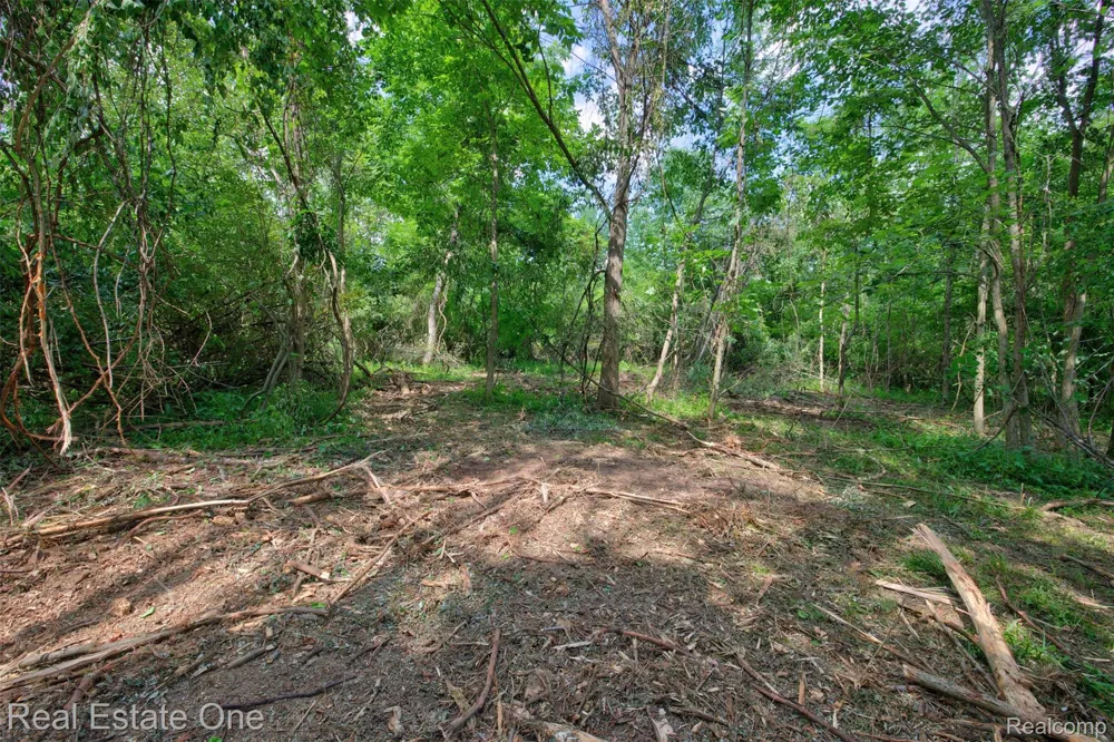 Bridges Cove Hadley Township, MI 48455