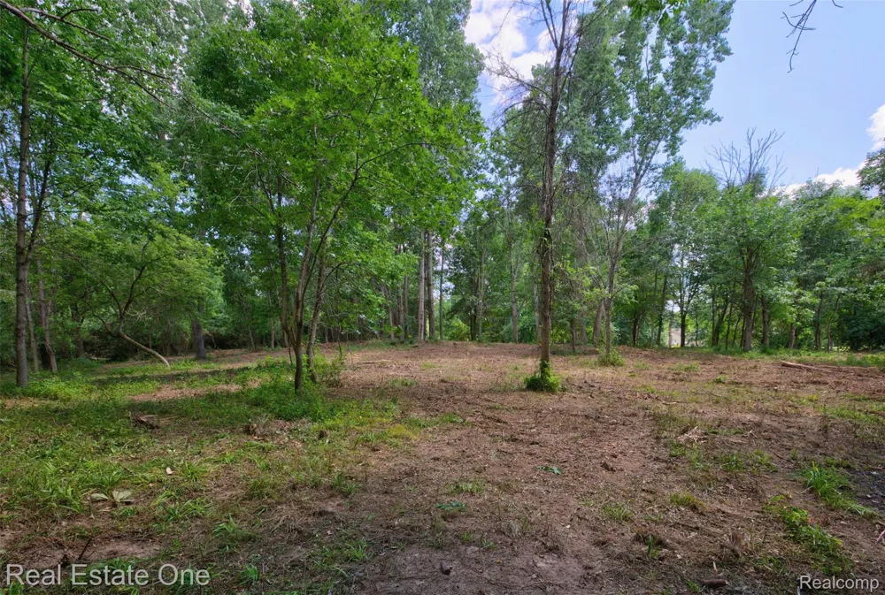 Bridges Cove Hadley Township, MI 48455