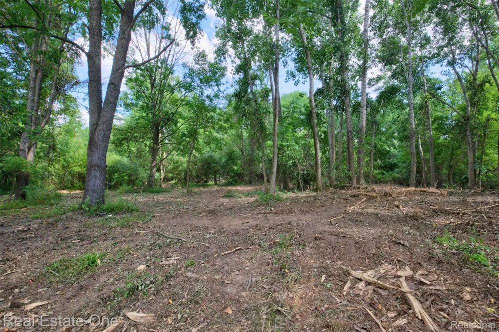 Bridges Cove Hadley Township, MI 48455