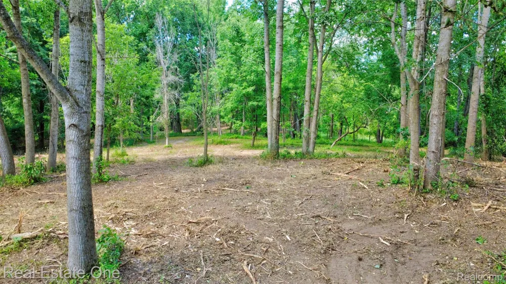 Bridges Cove Hadley Township, MI 48455