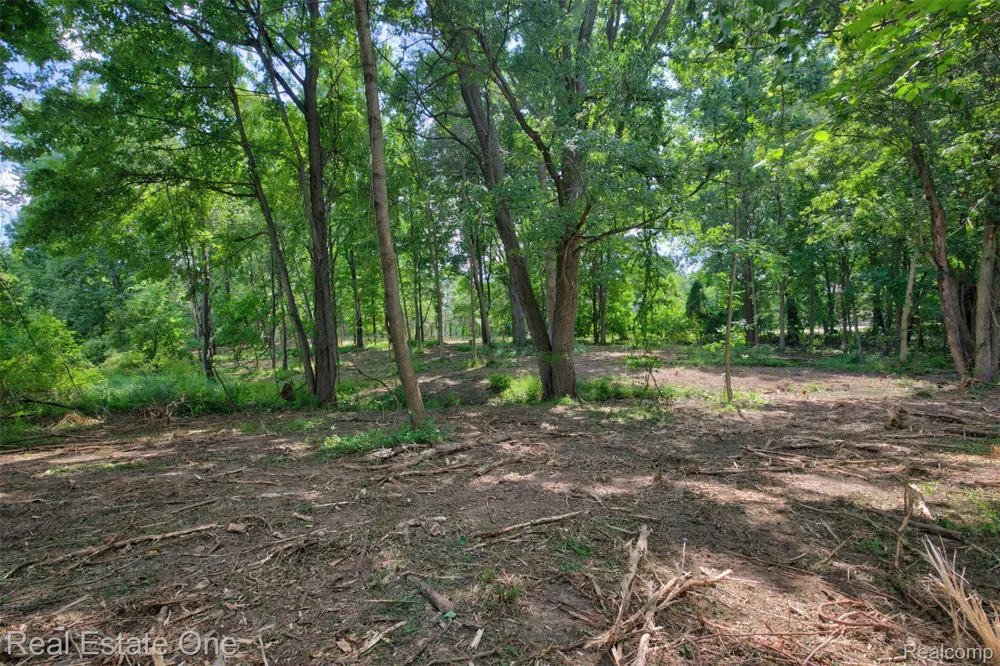Bridges Cove Hadley Township, MI 48455