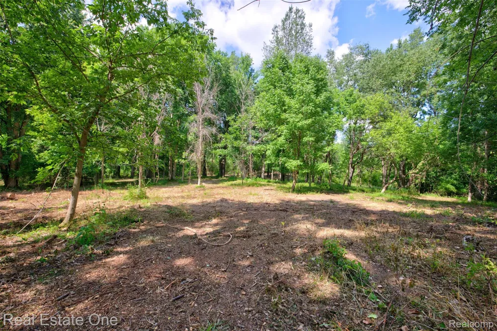 Bridges Cove Hadley Township, MI 48455