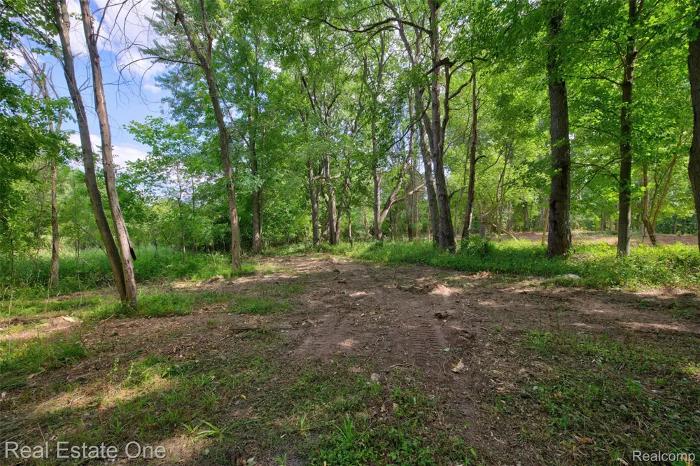 Bridges Cove Hadley Township, MI 48455