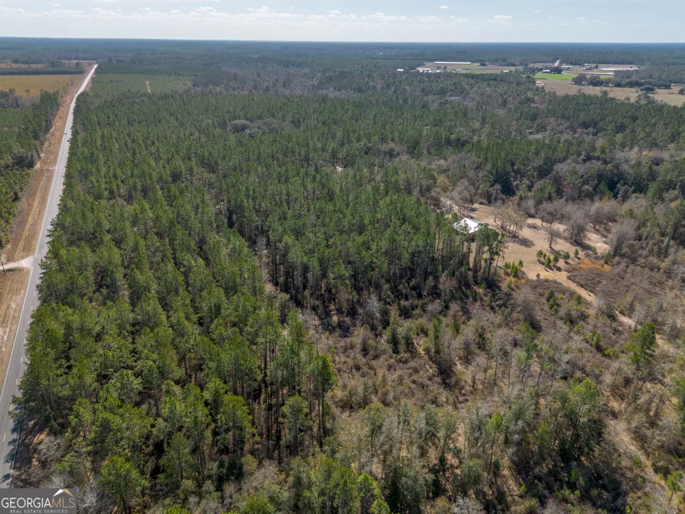 TRACT 2 - 12321 Highway 185 St. George, GA 31562