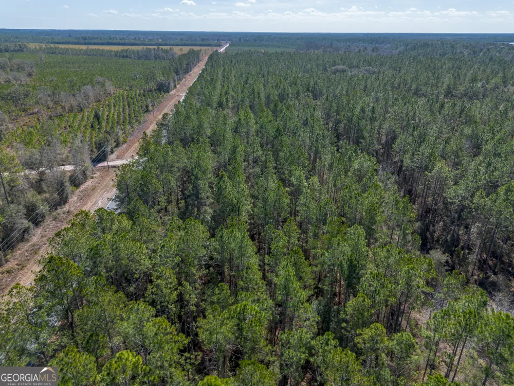 TRACT 2 - 12321 Highway 185 St. George, GA 31562