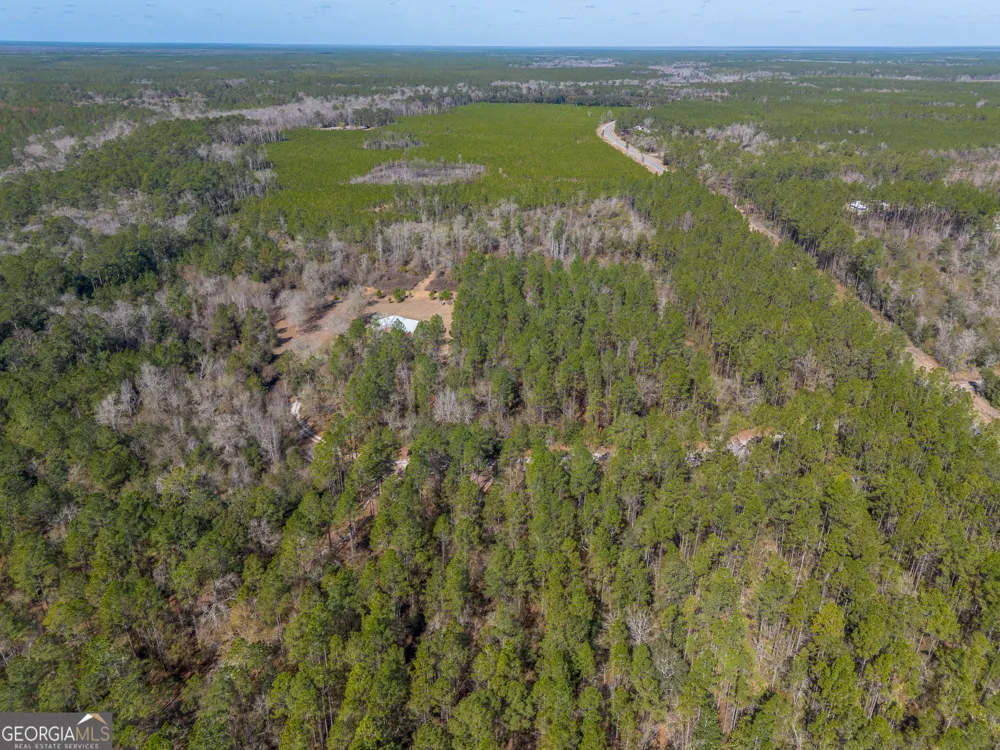 TRACT 2 - 12321 Highway 185 St. George, GA 31562