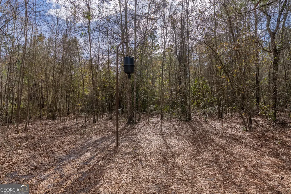 TRACT 2 - 12321 Highway 185 St. George, GA 31562