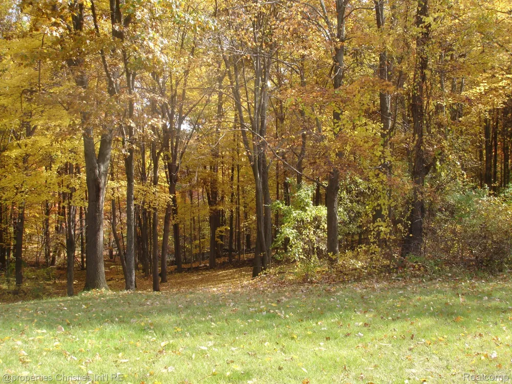 1451 Barrwood Trail Oxford Village, MI 48371