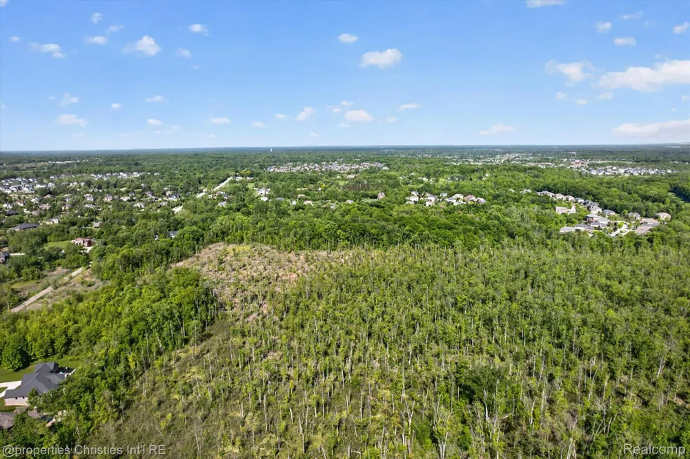 22635 Evergreen Court Novi City, MI 48374