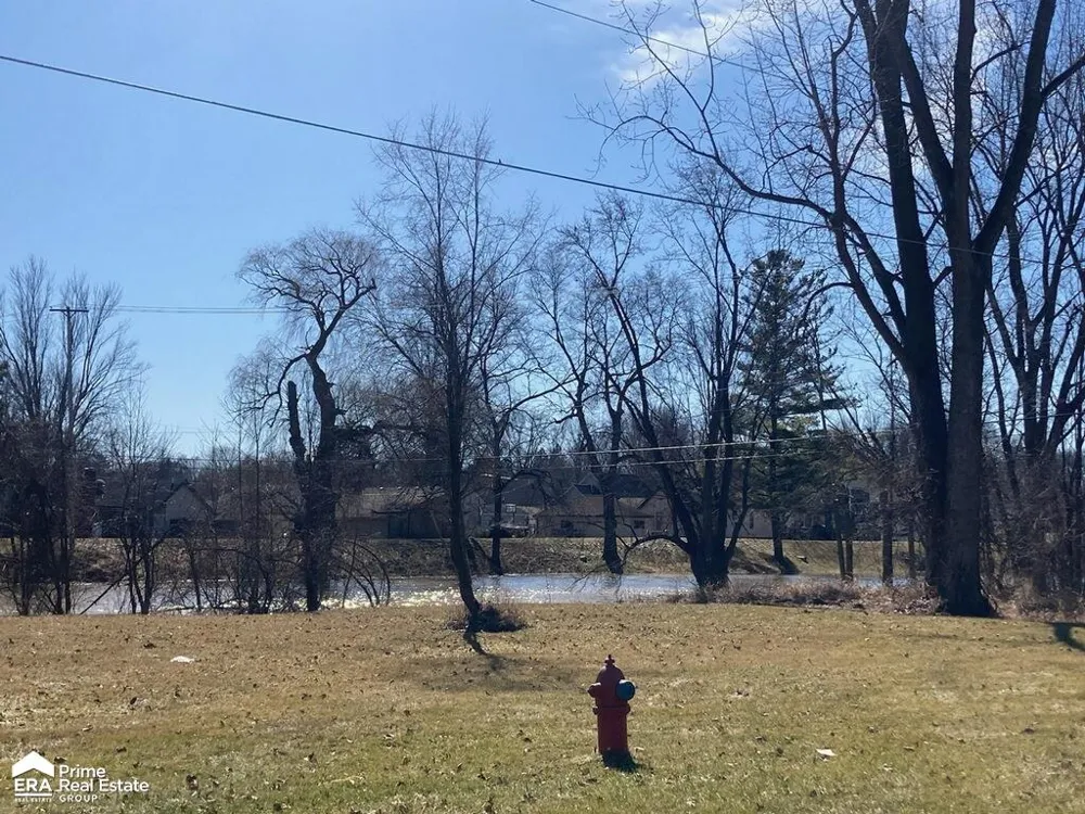 213 E oak Street St Charles Village, MI 48655