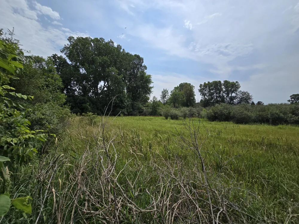 4250 Rives Junction Road Blackman Charter Township, MI 49201