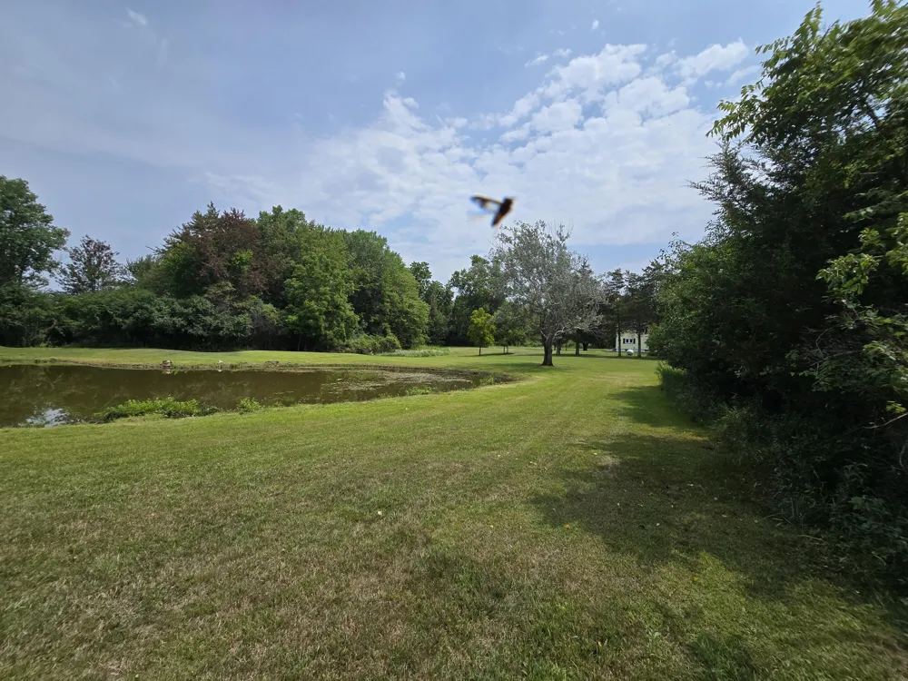 4250 Rives Junction Road Blackman Charter Township, MI 49201