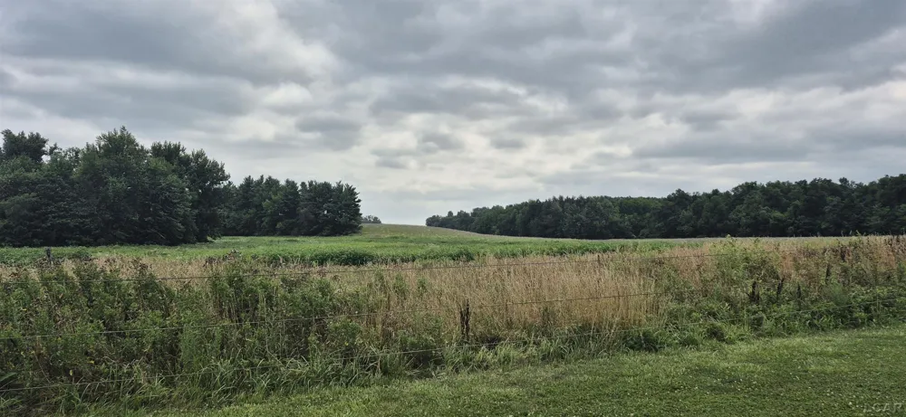 8513 Haley Road Dover Township, MI 49235