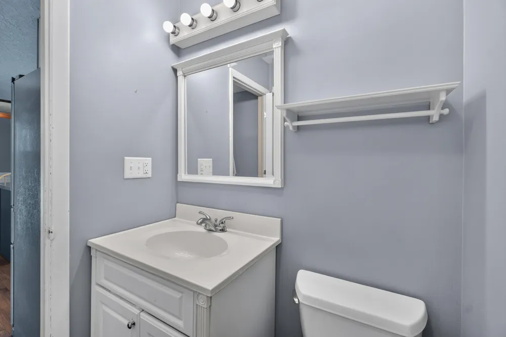 2528 Tricia Drive Summit Township, MI 49201