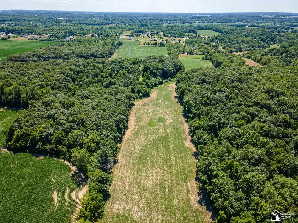 3515 W Albain Road Monroe Charter Township, MI 48161