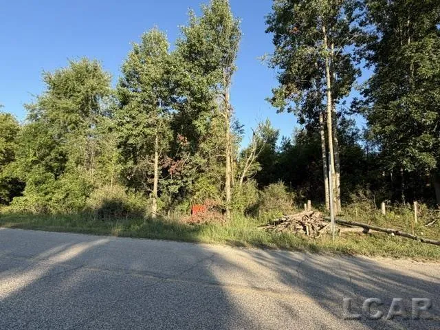 10459 Baker Road Somerset Township, MI 49249