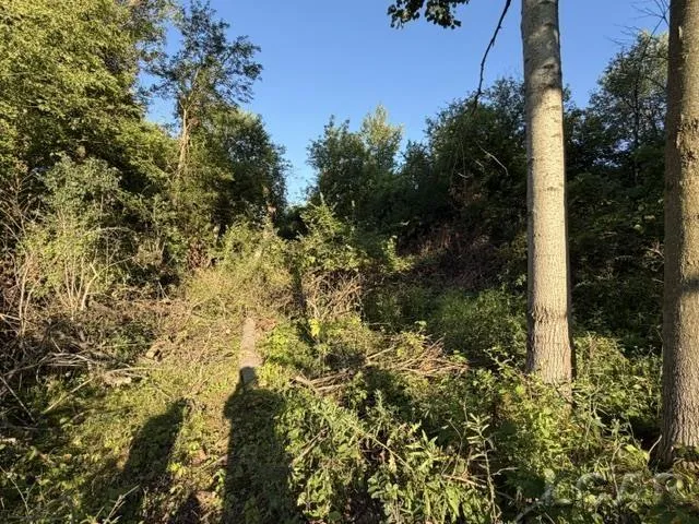 10459 Baker Road Somerset Township, MI 49249