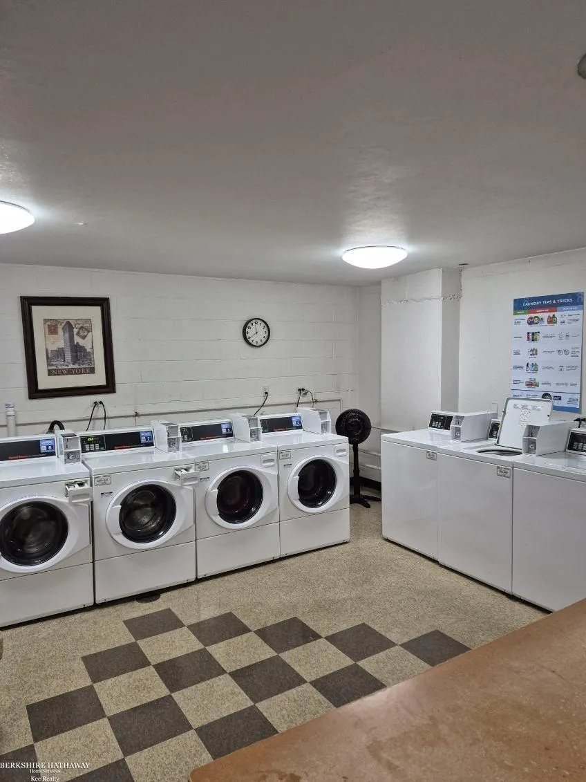 20 Chestnut Street Wyandotte City, MI 48192